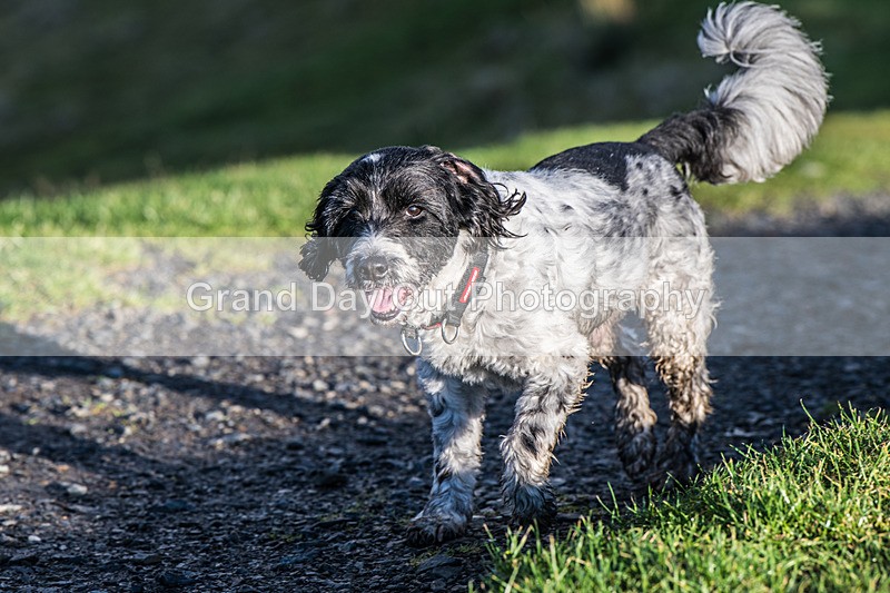 Loopy Latrigg-53 - Kong Running Loopy Latrigg Fell Race Saturday 20th December 2025
