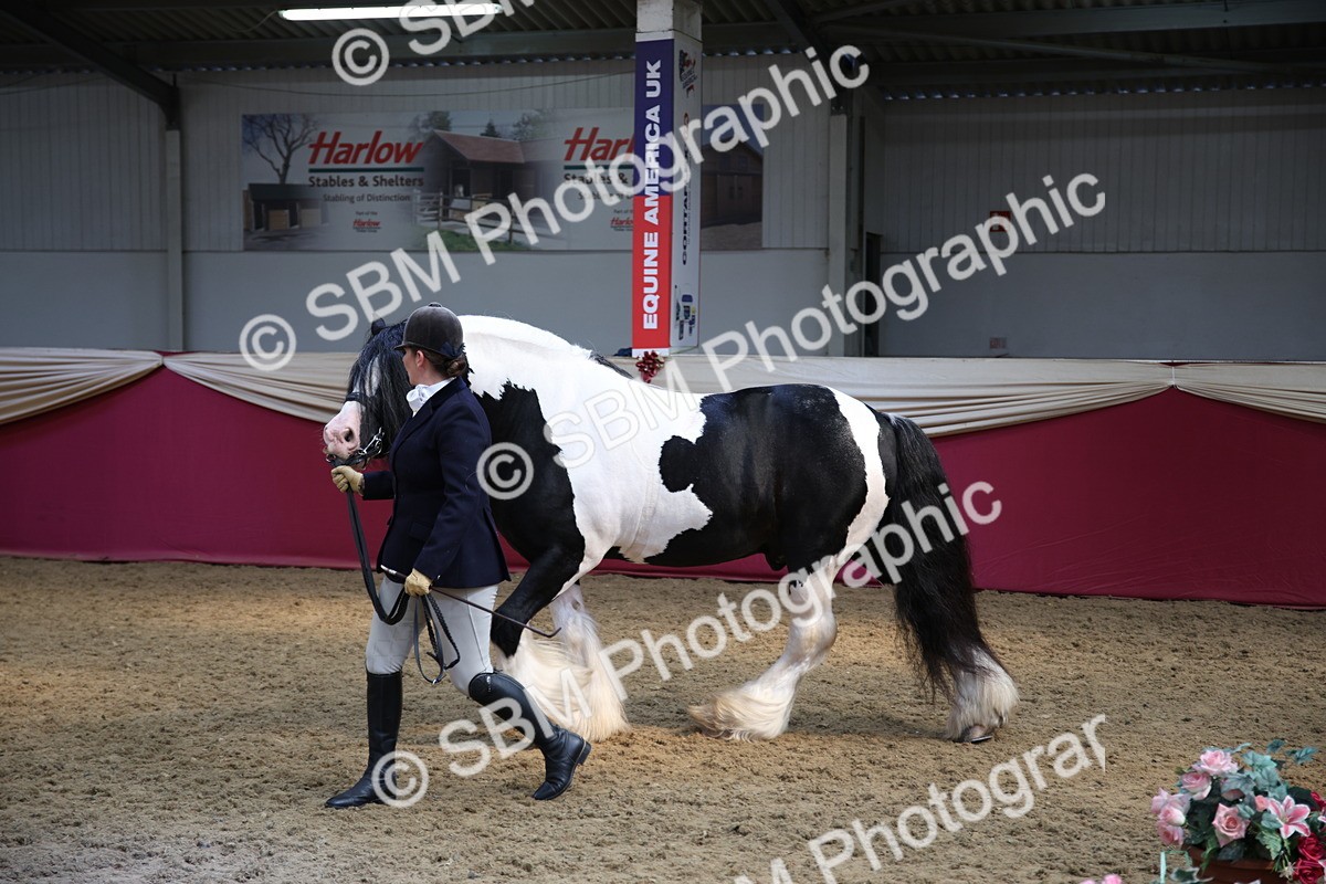 SBM_24277 - Class 905 - Supreme Final - Ridden Veteran