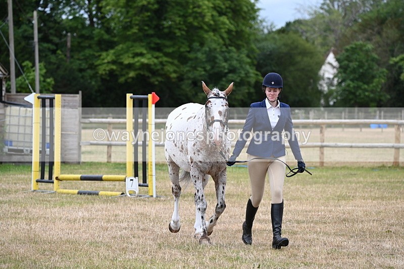 WJ6_4288 - Class 10 Coloured In-hand