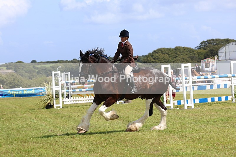 3E7A2893 - Class 13: Heavy Horse Ridden