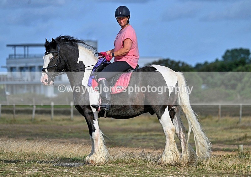 WJ7_4447_1 - Kellie & Churchill ... do Hayling Island 25-08-24