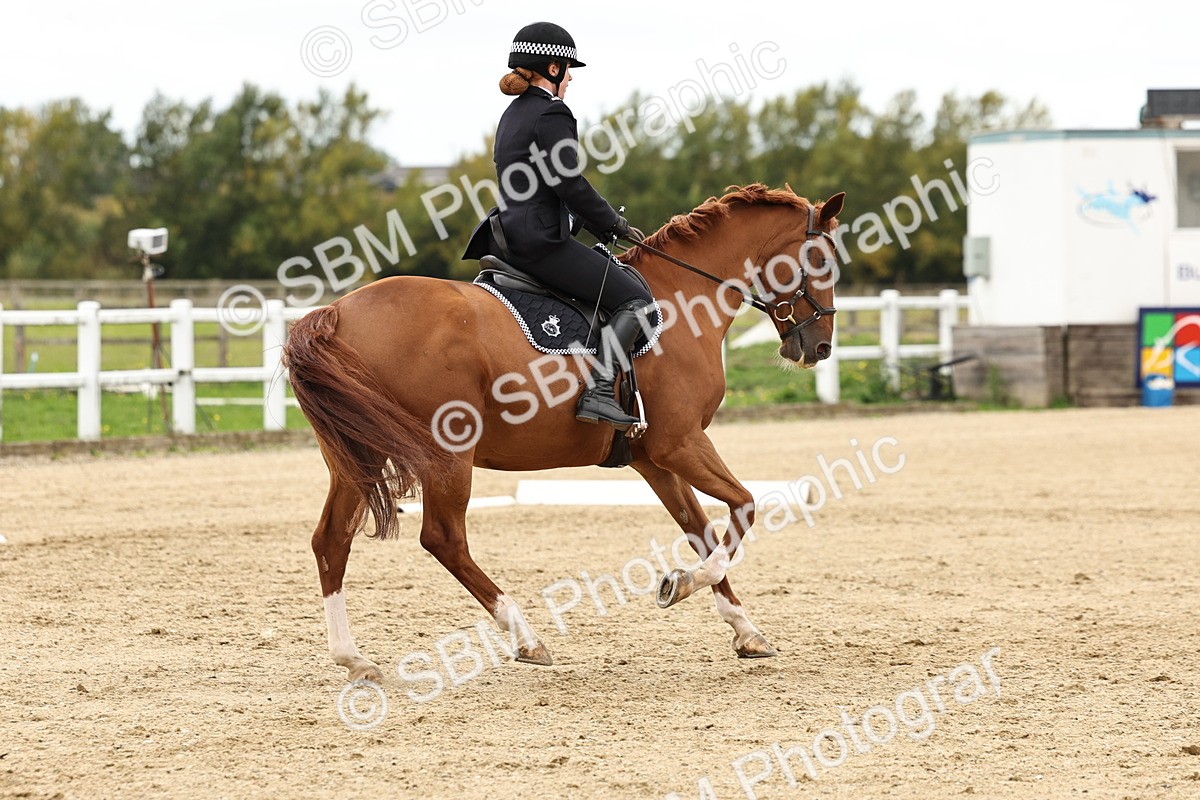 SBM_004565 - Class 69 - Novice 2