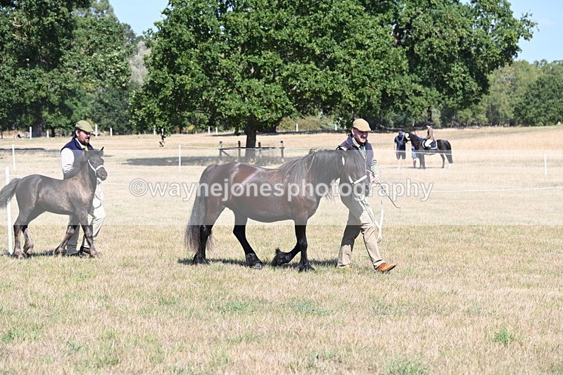 WJ6_4422 - Class 17 Mountain & Moorland