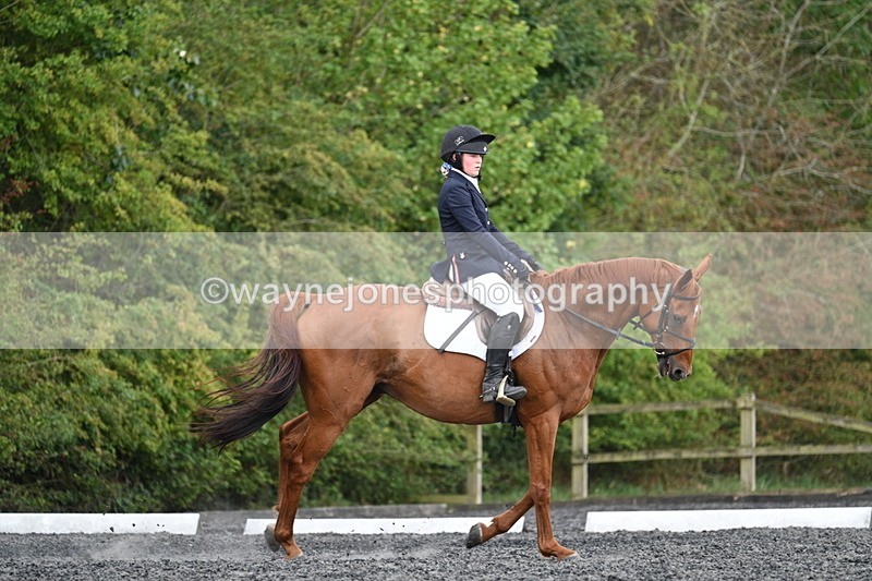 WJ7_7920 - Time 13:40 to 14:00