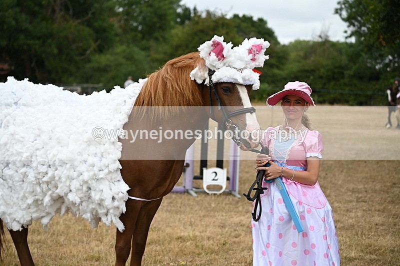 WJ6_8940 - Class 11 Fancy Dress