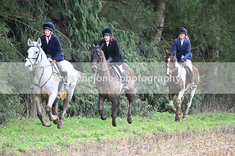 WJ6_9565 - Line Four