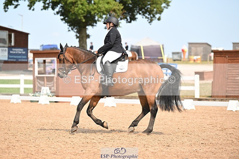 250816-141835-05075 - 049-Carolyn.GaleNewtown.Ringo