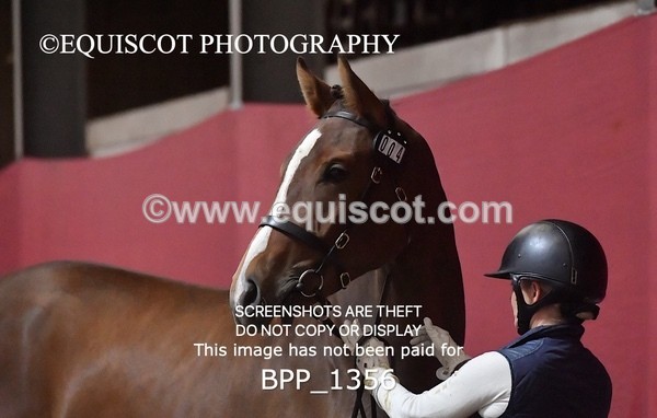 BPP_1356 - MORNING 9AM - 12PM