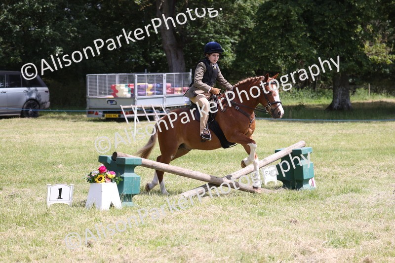 20260614-1924 - Class 21 - Novice Working Hunter Pony