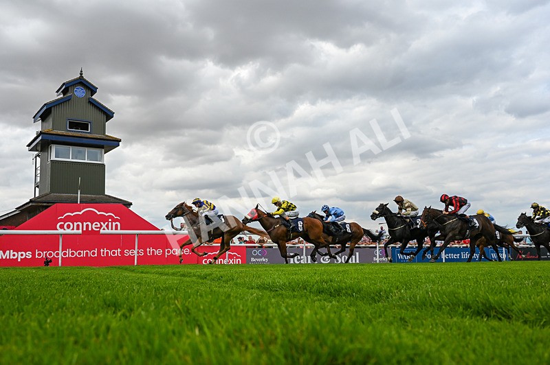 280726-Race 6-Azuinthejungle-4808 - Race 6 16.30pm It's Ladies Day Next On 12 August Handicap