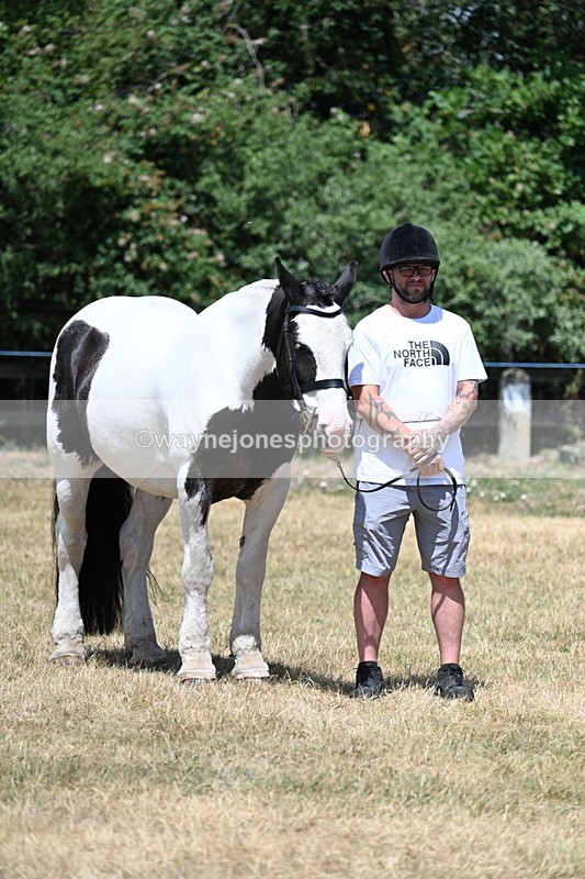 WJ7_2410 - Class 5a Most Handsome Gelding in hand (above 14.2hh)