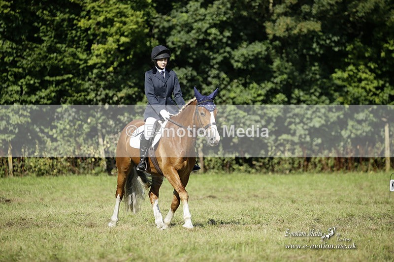 BVRC 120921 210 - Bourne Valley Riding Club UA Dressage & Show Jumping 12/09/21