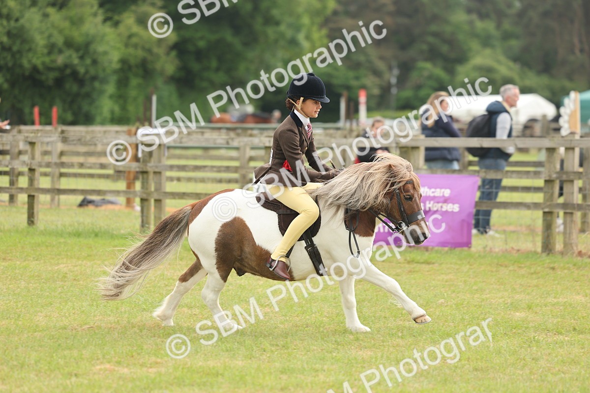 SBM_09138 - Class 78-80 - Ridden M&M Non Welsh Ponies