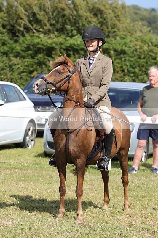 1X9A5738 - Class 40: NPS Welsh A & B