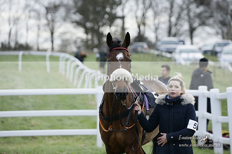 PtP 281121 0461 - Hursley Hambledon Point-to-Point Larkhill 28/11/21
