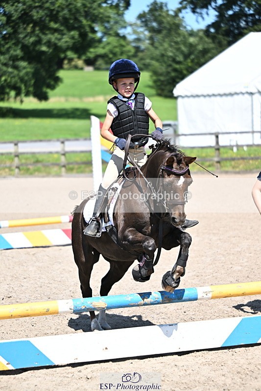 240729B-115821-02569 - Showjumping Competition