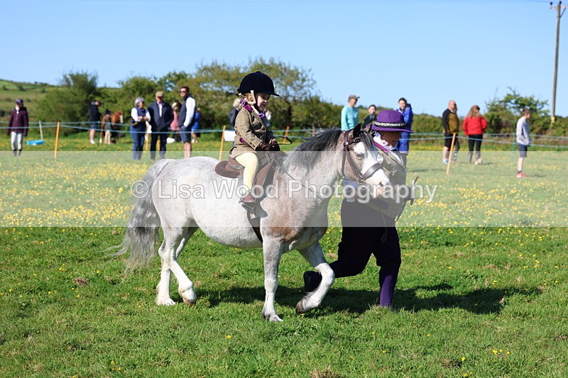 3E7A8878 - Class 2: Lead rein