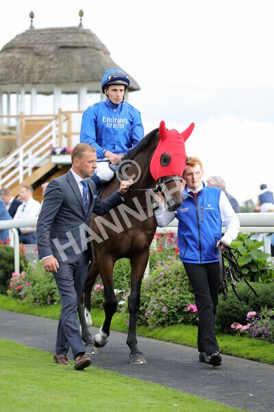yr19082022r6-16 - Race 6 4.45 pm British Stallion Studs EBF Convivial Maiden Stakes