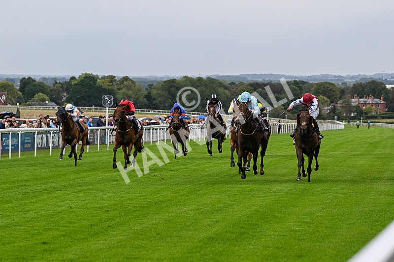 290826-Race 3-Fans Favourite-6451 - Race 3 2.55pm Dearing Plastics Celebrating 40 Years Handicap
