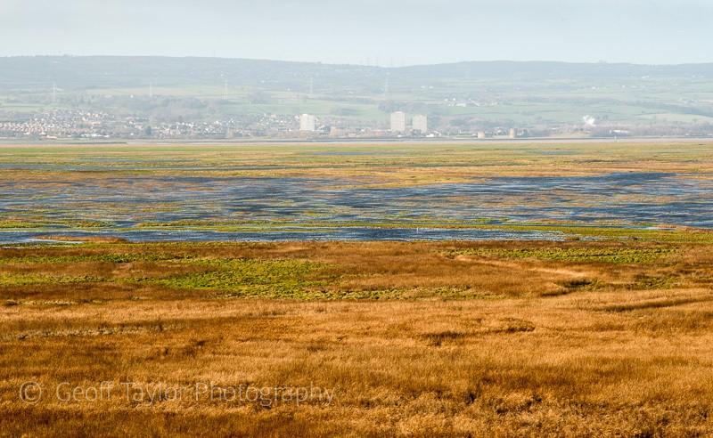 Burton Mere 2 - Wirral peninsula
