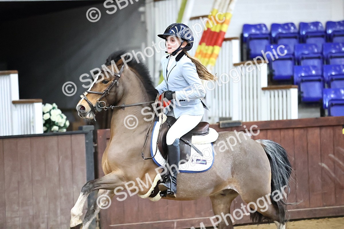 SBM_001337 - Class 9 - Pony British Novice 80cm
