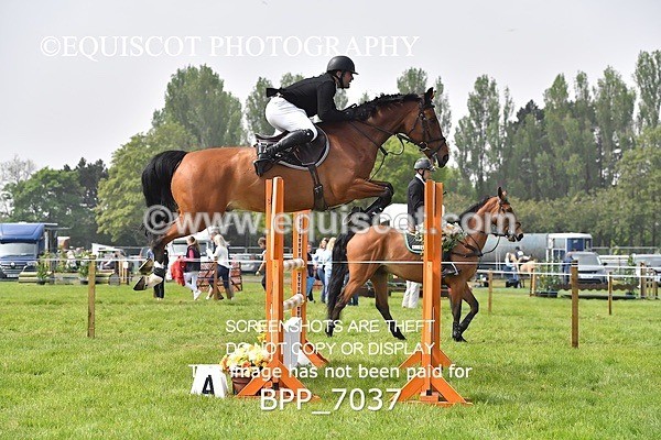 BPP_7037 - CLASS 3 RHS Fox Champ Qual (1.20m)