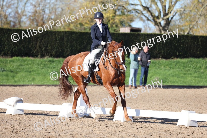 20251102-0527 - Class 3 - Novice 5