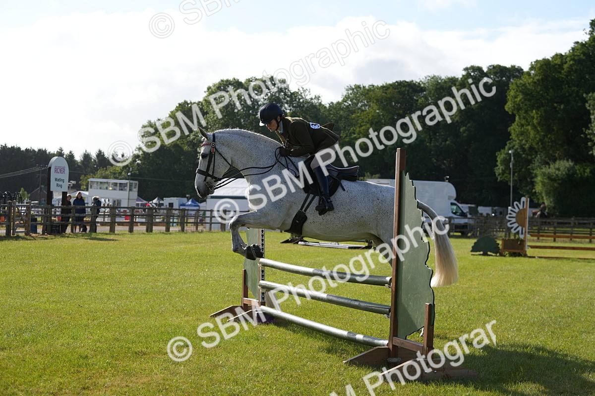 SBM_10551 - Class 97-98 - LIHS BSHA Rising Star Working Show Horse Hunter