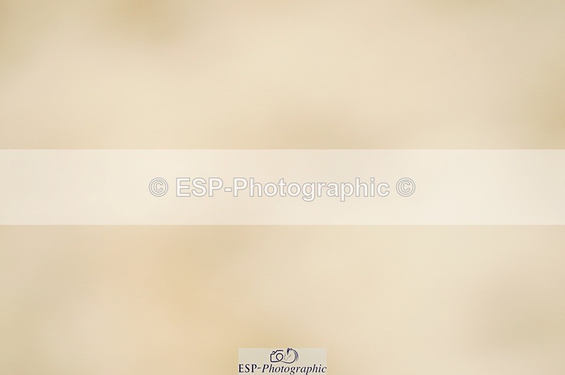 240309-143940-01267 - Cls 03 AE 90cm