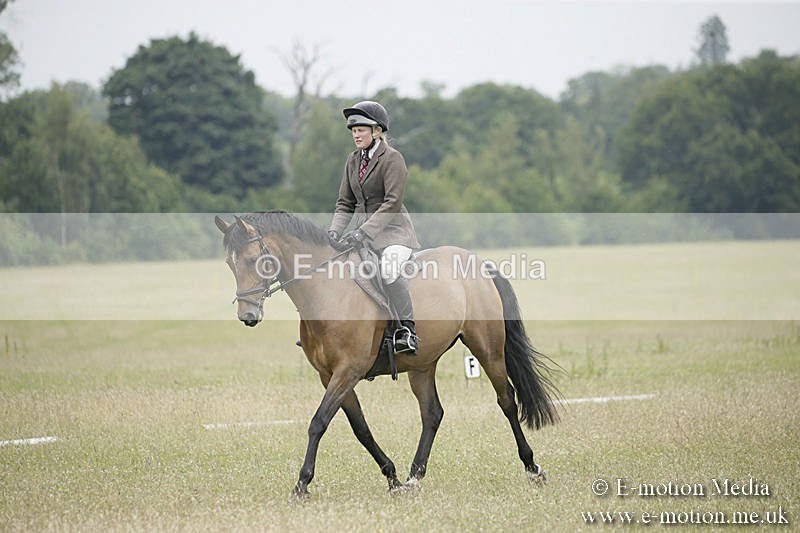 B230619-0618 - Bourne Valley Riding Club Summer Show 23/06/19