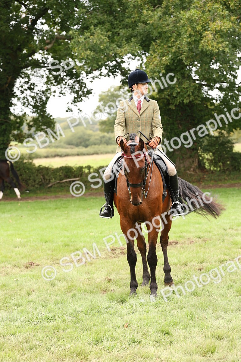SBM_64270 - S65 - Riding Horse & Hack & Thoroughbred Ridden