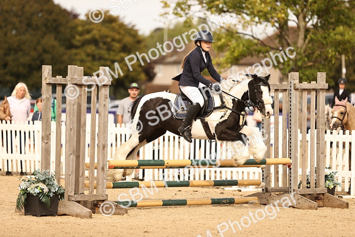 SBM_69769 - J13 - Junior Pony 60cm Championship