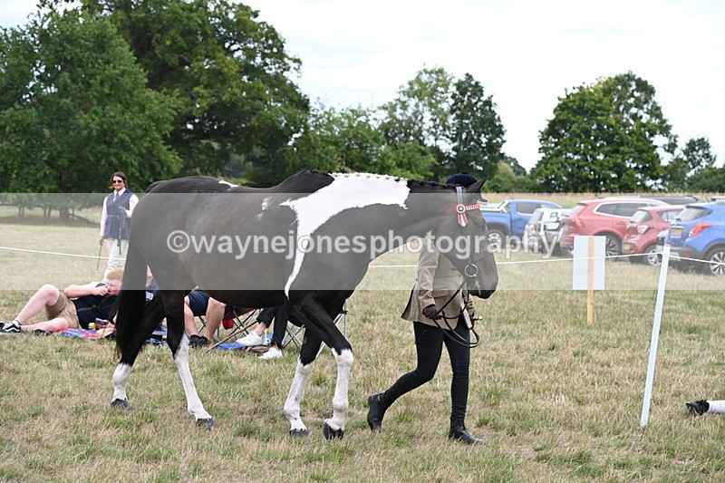 WJ6_5175 - Class 18 In-hand Coloured