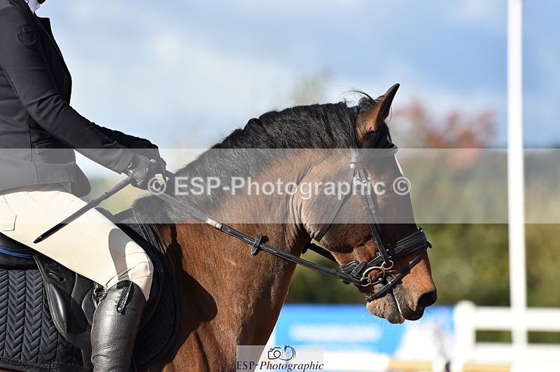 231014A-104306-03875 - Cls 13 85cm Amateur Q 2nd R