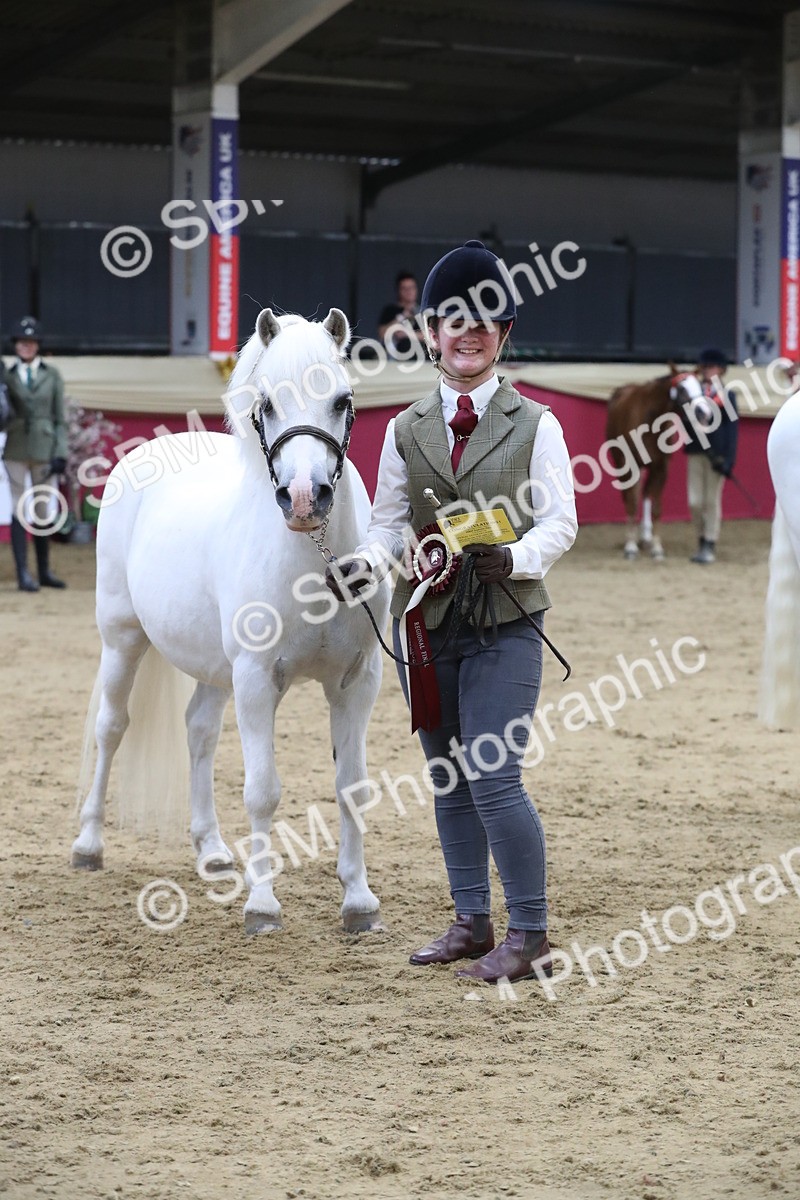 SBM_05054 - Class 8R- Regional -IH Veteran