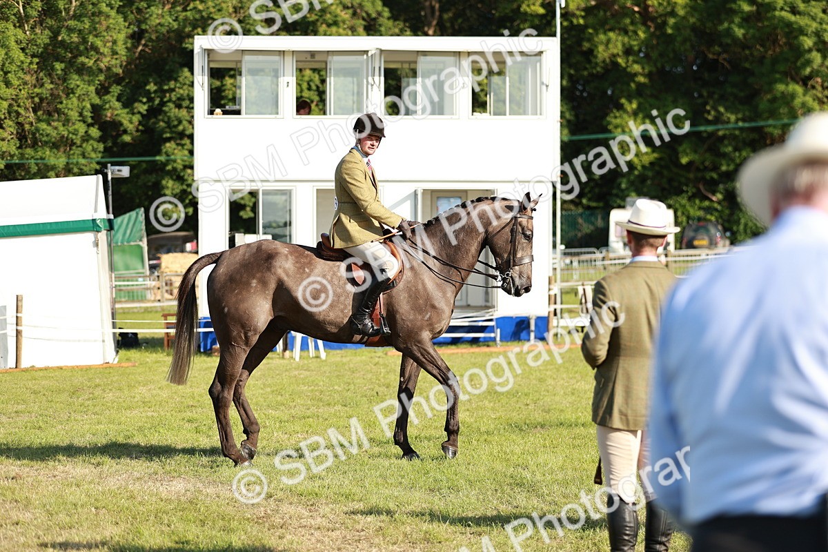 SBM_20161 - Class 117-119 - Sport Horse Working Hunter