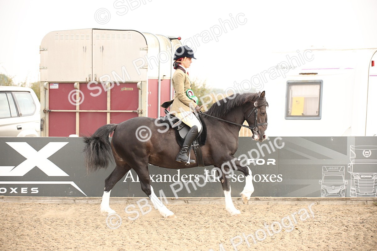 SBM_09834 - Class 401 Riding Club Pony