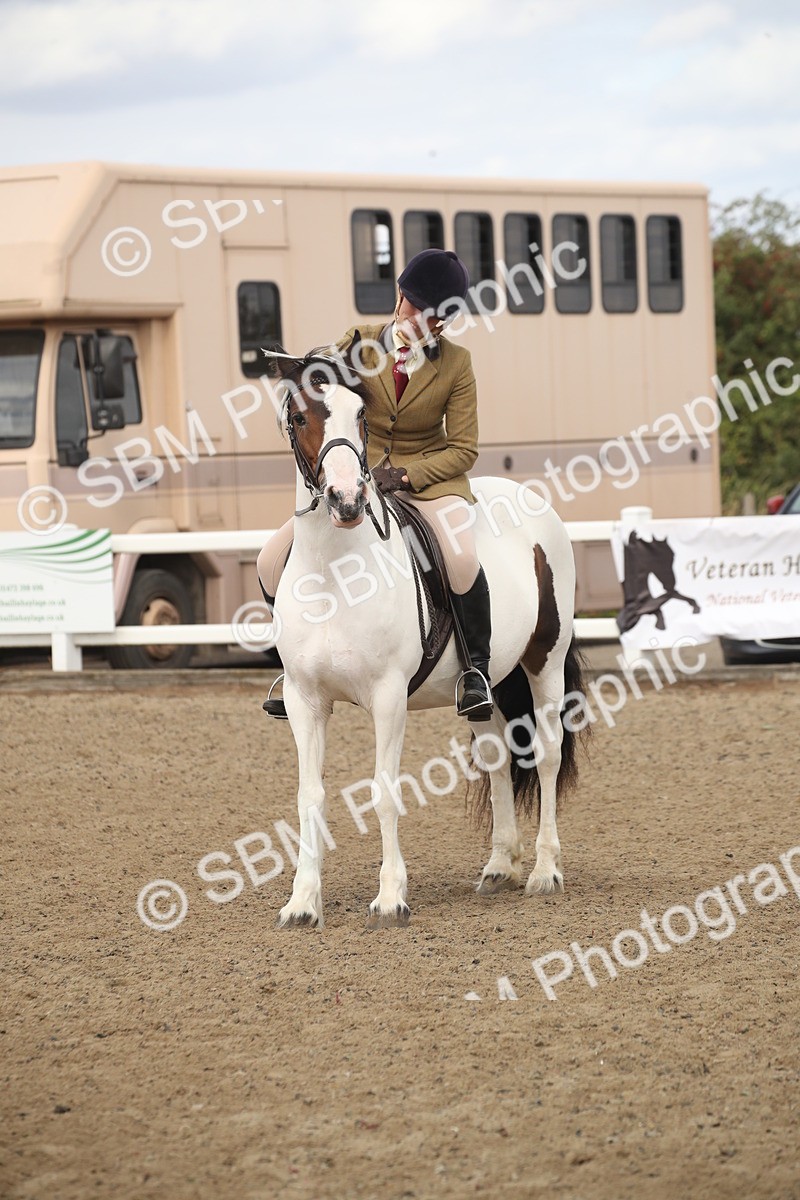 SBM_15241 - Class 506a - Working Veteran - 50cm (15-19)