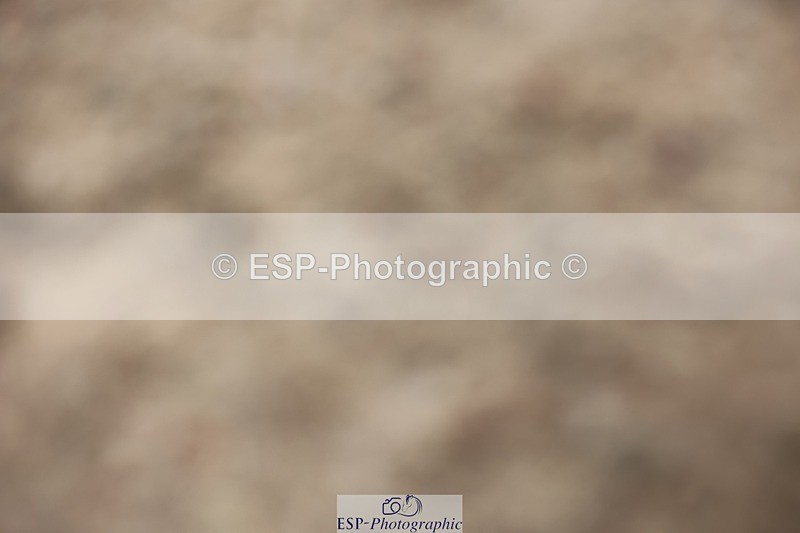 250621-115854-08894 - Cls 37 - Freestyle Adv Medium