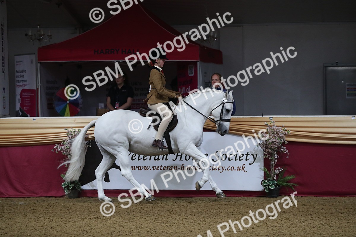 SBM_09267 - Class 101 Equitation (best rider), Junior