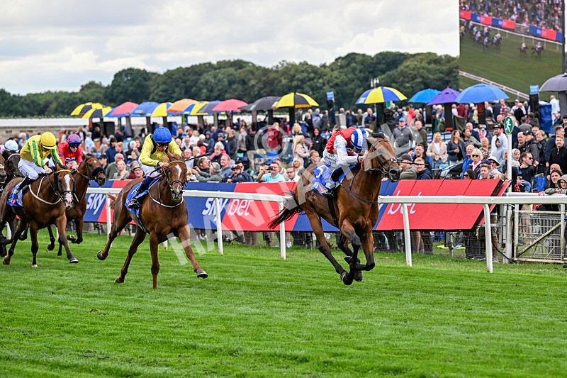 210826-Race 1-Blue Courvoisier-4960 - Race 1 13.50pm Sky Bet Mile Handicap