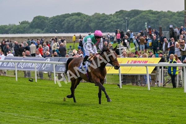 160524-Race 3-Bluestocking-5646 - Race 3 3.15pm  Al Basti Equiworld Dubai Middleton Fillies' Stakes