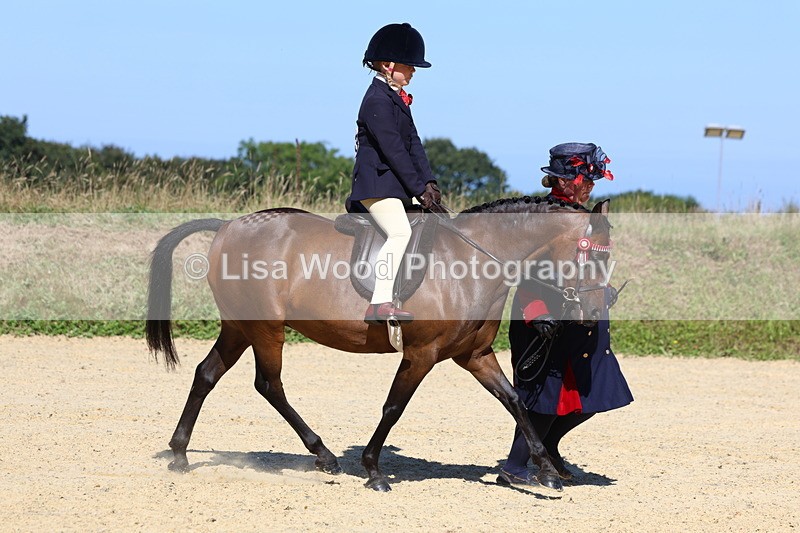 3E7A8054 - Class 15: Lead Rein