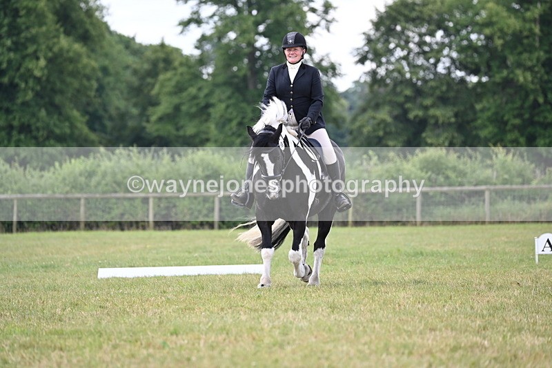 WJ6_6619 - Time 10:30 to 11:16