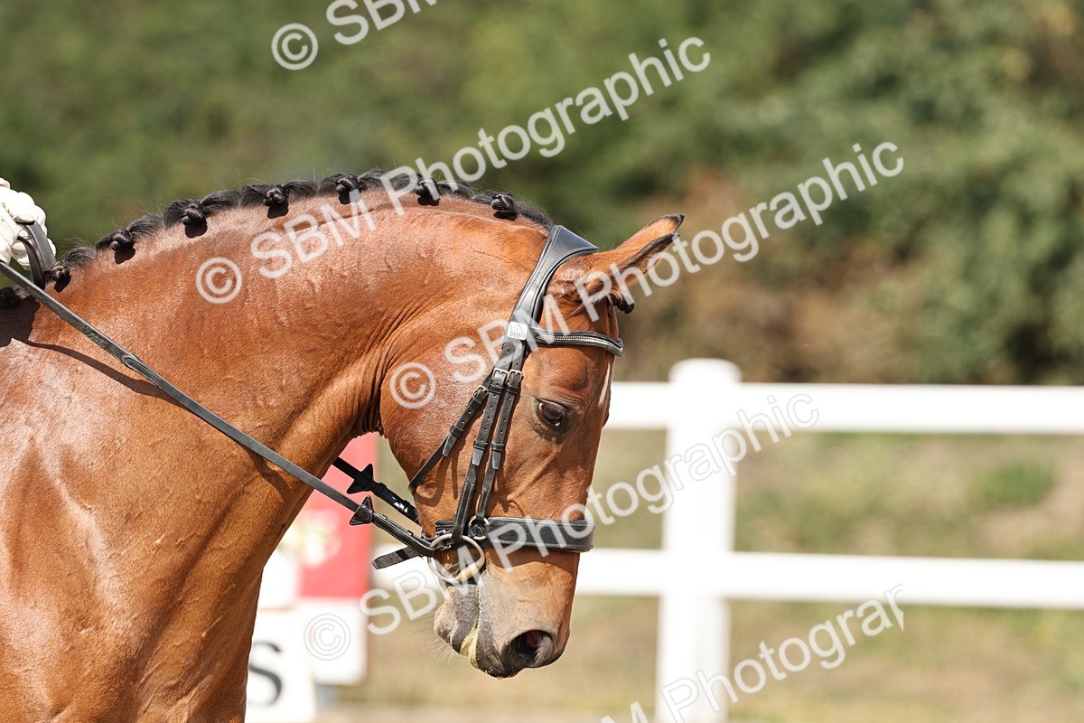 SBM_018710 - Class 16 - Novice 5 - 12.08-13.11