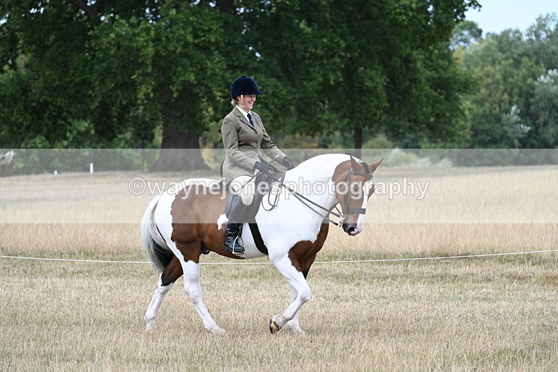 WJ7_4612 - Class 12 Ridden Cob