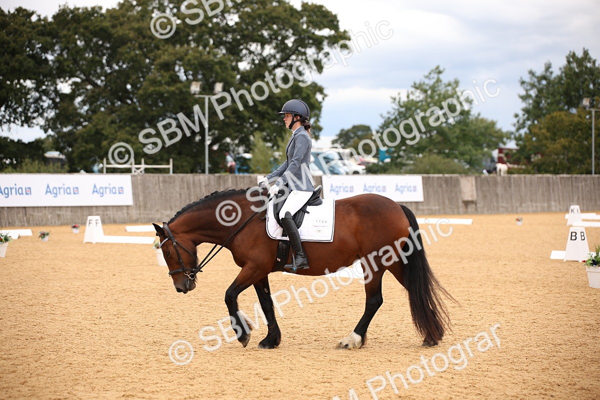 SBM_09120 - D8 Small Tour Championship Prelim 7