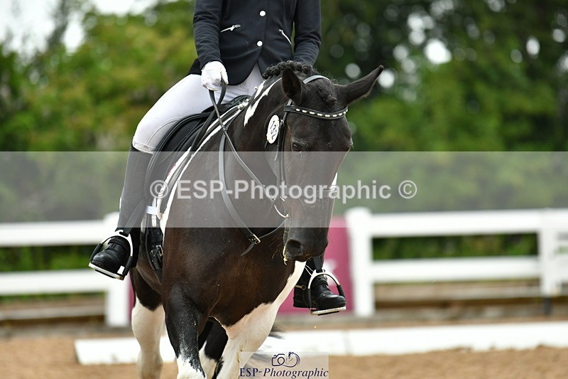 230708A-115918-02673 - Prelim 13