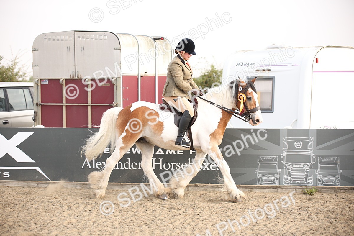 SBM_10285 - Class 402 Riding Club Horse