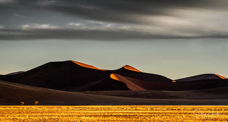 Sossusvlei Sand Dunes 4